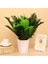 Yapay Çiçek Cycas Aşk Merdiveni Eğrelti Otu Sıkas Bitkisi 18 Yaprak 40*50 cm Yapay Bitki 5