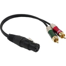 Sharplace Xlr Dişi Ila Çift Rca Erkek Fiş Ses Kablosu Mikrofon Ayırıcı Tel 30CM (Yurt Dışından)