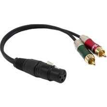 Sharplace Xlr Dişi Ila Çift Rca Erkek Fiş Ses Kablosu Mikrofon Ayırıcı Tel 30CM (Yurt Dışından)