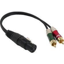 Sharplace Xlr Dişi Ila Çift Rca Erkek Fiş Ses Kablosu Mikrofon Ayırıcı Tel 30CM (Yurt Dışından)