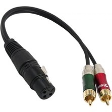 Sharplace Xlr Dişi Ila Çift Rca Erkek Fiş Ses Kablosu Mikrofon Ayırıcı Tel 30CM (Yurt Dışından)