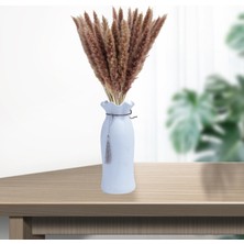 Vonluxe 15X Kurutulmuş Çim Phragmites Sazlık Çiçek Demet Dekor  Doğal (Yurt Dışından)
