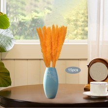 Vonluxe 15X Doğal Kurutulmuş Pampas Çim Kamış Vazo Dekorasyonu Için Çiçekler Bunch Boho Turuncu (Yurt Dışından)