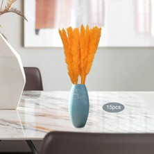 Vonluxe 15X Doğal Kurutulmuş Pampas Çim Kamış Vazo Dekorasyonu Için Çiçekler Bunch Boho Turuncu (Yurt Dışından)