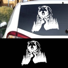 Ayı Orman Manzara Kamp Karavan Sticker, Off Road STICKER-S1409