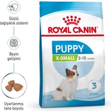 Royal Canin X-Small Puppy Küçük Irk Yavru Köpek Maması 3 kg