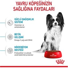 Royal Canin X-Small Puppy Küçük Irk Yavru Köpek Maması 3 kg