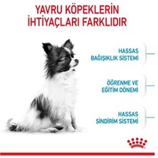 Royal Canin X-Small Puppy Küçük Irk Yavru Köpek Maması 3 kg