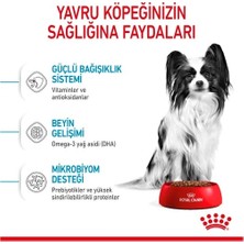 Royal Canin Xsmall Yavru Köpek Maması 1,5 Kg