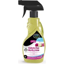 Fix Clean Oda & Oto Kokusu Bahar - Spring  500 ML