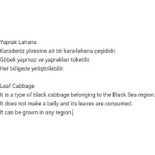 Agrodal Tarım Ata Tohumu Yöresel Kara Lahana Karadeniz Lahanası, Yaprak Lahana 100 Adet Tohum