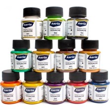 Karin  Guaj Boya Seti  12 Renk x 45 ml