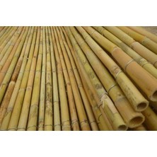 Fidanlıdan Fidan Destek Çubuğu ( Kamış ) 180 cm 20 Adet