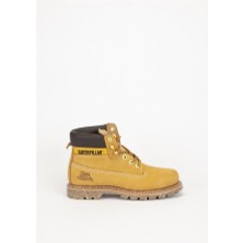 Caterpillar E Colorado Honey Erkek Bot