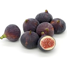 Gargalı Sağlıklı Gıda Dondurularak Kurutulmuş İncir Meyve Kurusu 15 x 20 gr
