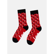 Cozzy Socks Sevgililer Günü Kalpli 3'lü Kutulu Çorap