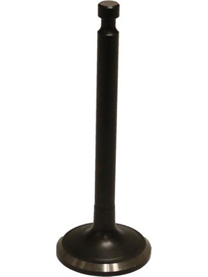 Palmera Supap Egzoz WM168.PA065