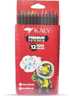 Kaly 12'li Premium Kuru Boya Seti Renkli ve Kaliteli Pigmentler