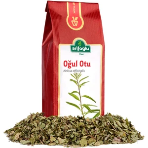 Oğul Otu 50 gr