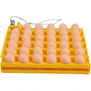 35 Li Motorlu Gelişim Viyolu 1/240 Rpm