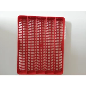 30 Lu Kaz Gelişim Viyolu