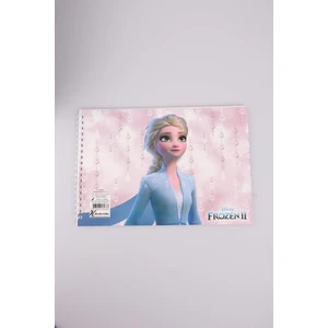 FROZEN ELSA RESİM DEFTERİ