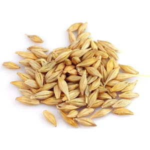 Bitki Diyarı Kabuklu Arpa 1kg