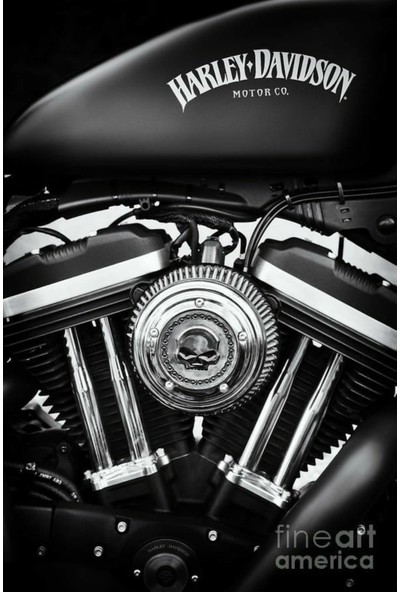 Ggart Decoration Motorcu Kask Askısı Kanvas Baskı Harley 12 (Tekli Askılık)