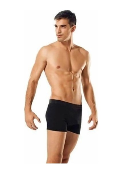 Erkek Elastan Boxer 3 Adet ( 1 Adet Siyah -1ADET Beyaz -1 Adet Gri) fiyatları