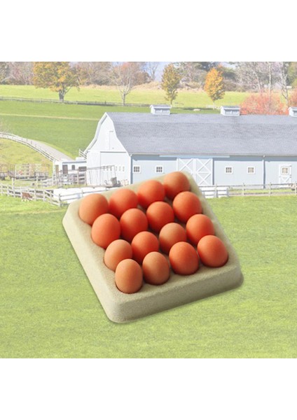 3 Set 1: 6 Dolyhouse Minyatür Yumurta Dollhouse Mutfak Yemek Odası Dekor (Yurt Dışından) modelleri