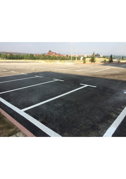 Safetyline Sprey Yol Çizgi Boyası (750 ml 6 ADET ) fırsatları