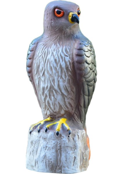 Kuş Caydırıcılığı Heykel Bahçesi Caydırıcı Süsleme Kırmızı Kuyruklu (Yurt Dışından) fiyatları