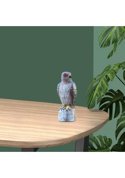 Kuş Caydırıcılığı Heykel Bahçesi Caydırıcı Süsleme Kırmızı Kuyruklu (Yurt Dışından) indirimleri