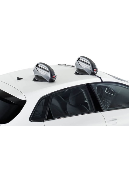 Aconcagua Mıknatıslı 2'li Snowboard-Kayak Bagajı /SYBG442 fırsatları