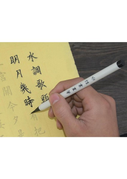 2xchinese Kalem Kaligrafi Yazma Boyama Aracı Fırça Hediyeleri Doğal 2 Adet (Yurt Dışından)