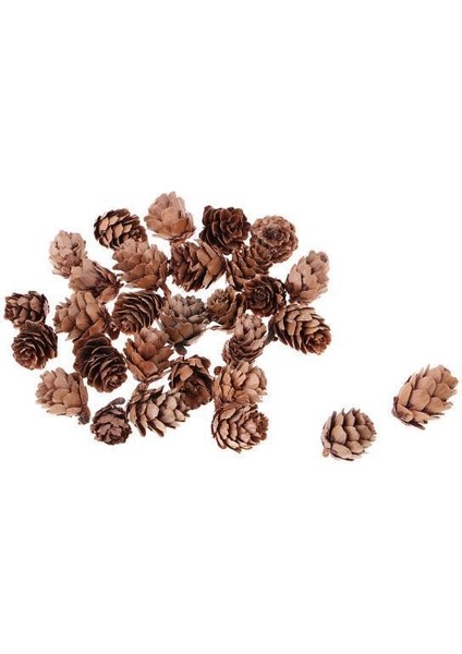 24X30 Setler Süslemeler Süslemeleri Vaza Kasesi Dolgusu 24 Pc (Yurt Dışından)