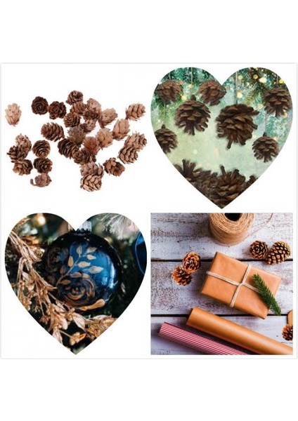 24X30 Setler Süslemeler Süslemeleri Vaza Kasesi Dolgusu 24 Pc (Yurt Dışından) fırsatları