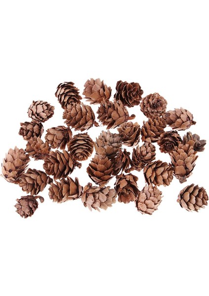 24X30 Setler Süslemeler Süslemeleri Vaza Kasesi Dolgusu 24 Pc (Yurt Dışından) indirimleri