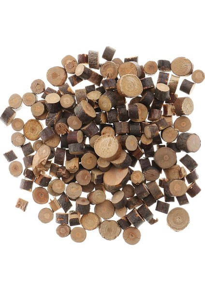 Günlük Dilimleri 4 Pc (Yurt Dışından) fiyatları