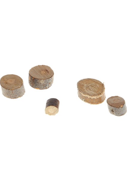 Günlük Dilimleri 4 Pc (Yurt Dışından) fırsatları