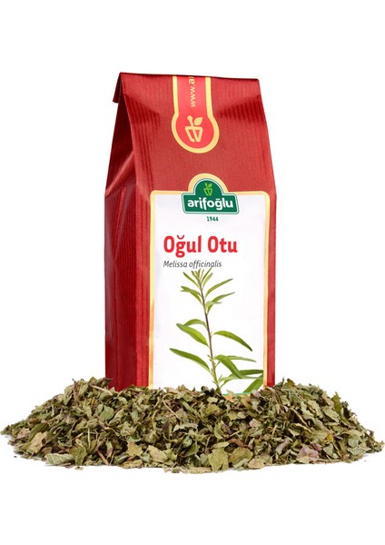 Oğul Otu 50 gr