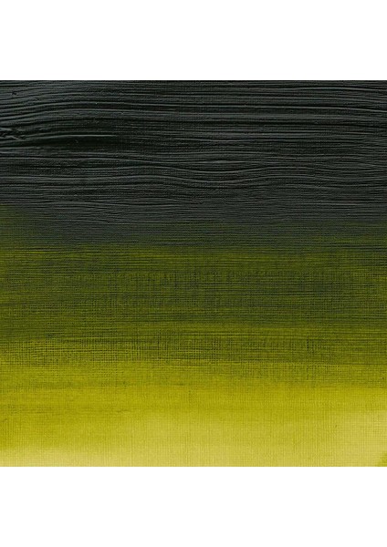 Professional Akrilik Boya 60ML Permanent Sap Green 503 S.3 fiyatları