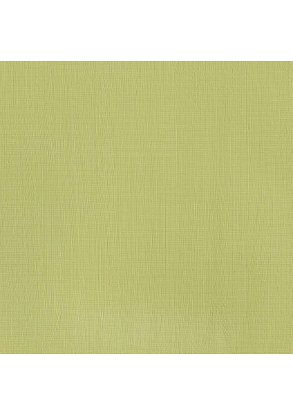 Professional Akrilik Boya 60ML Permanent Sap Green 503 S.3 fırsatları