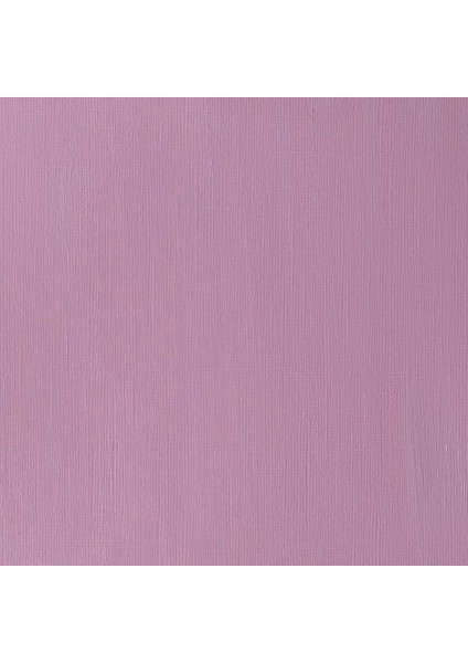 Professional Akrilik Boya 60ML Perylene Violet 470 S.4 fırsatları