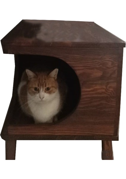 Ahşap Kedi Evi Kedi Yatağı Kedi Kulubesi Yatak Hediyeli