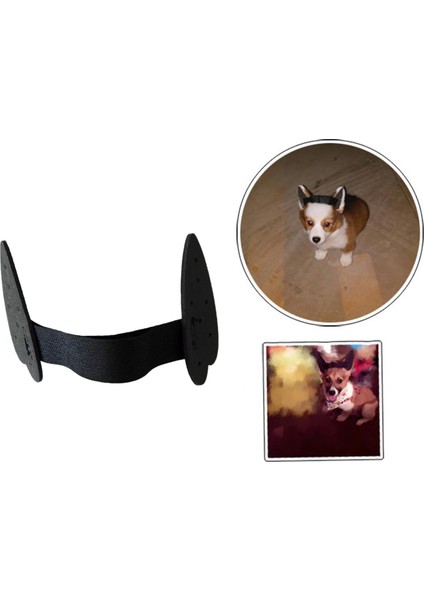 Köpek Kulak Stand Yukarı Destek Araçları Kulak Sticker Kulak Bakımı Kulak Düzen S 9x4.4 cm (Yurt Dışından) fırsatları