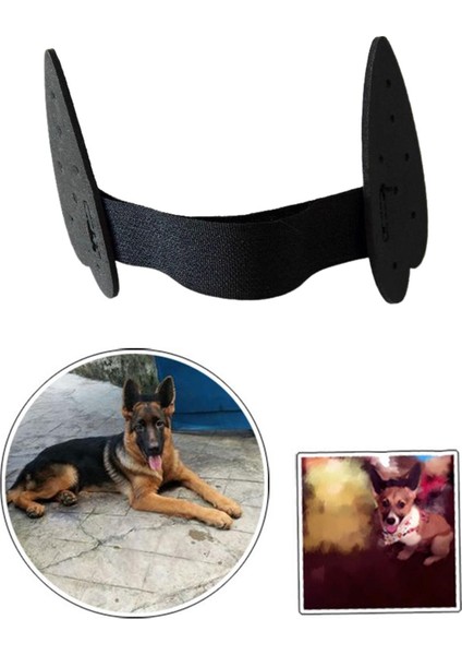 Köpek Kulak Stand Yukarı Destek Araçları Kulak Sticker Kulak Bakımı Kulak Düzen S 9x4.4 cm (Yurt Dışından) indirimleri