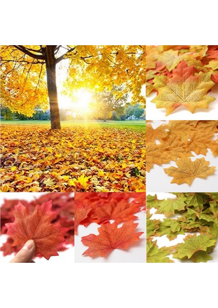100PCS Yaprak Ipek Yaprakları Düğün Bahçe Dekorasyonu Gül Kırmızı (Yurt Dışından)