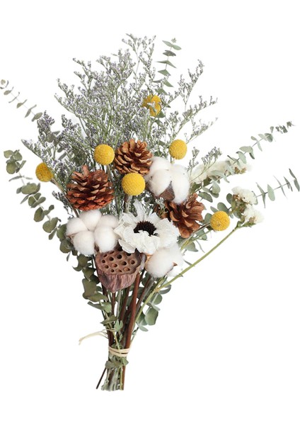 Kurutulmuş Çiçek Yeşillik Okaliptüs Daisy Floral Için (Yurt Dışından)