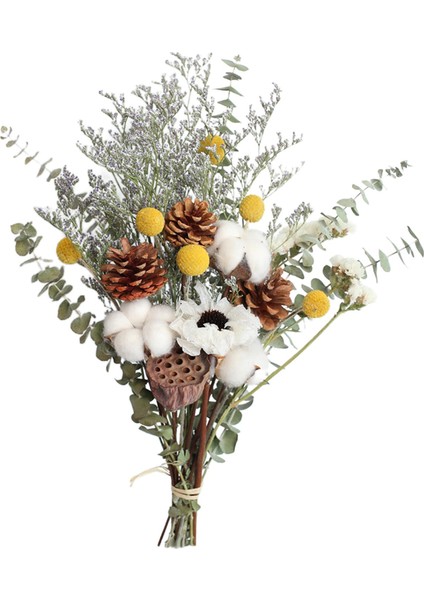 Kurutulmuş Çiçek Yeşillik Okaliptüs Daisy Floral Için (Yurt Dışından) fiyatları